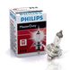Лампа головного світла Philips H4 75/70W 24V 13342 для Універсальні товари 85923 фото 2